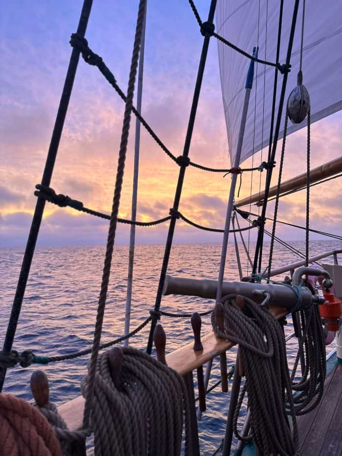 Rejs niepodległości 2025 – „zawisza czarny”